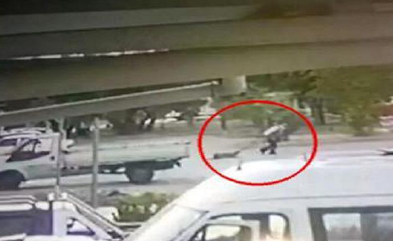 İzmir’de vahşet yaşandı: Cani adamın yerde sürüklediği köpek ölü bulundu