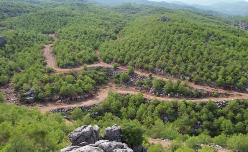 Manavgat'ta büyük değişim: Küllerinden yeniden doğdu