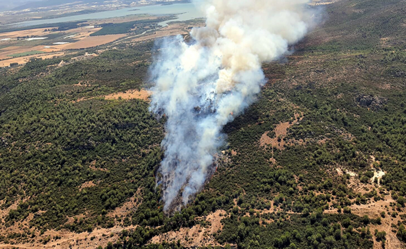 İzmir'de peş peşe orman yangınları!