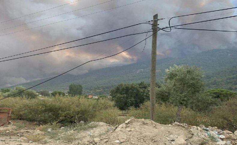 Muğla'daki yangın Aydın'a yöneldi: 2 mahalleye tahliye edildi