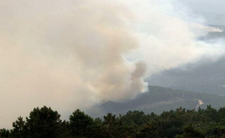 Muğla’da alevler yeniden yükseldi