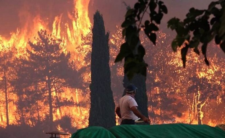 Orman yangınlarından bir acı haber daha