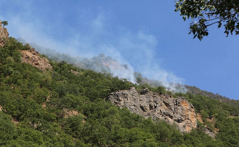 Tunceli'deki yangın tekrar başladı