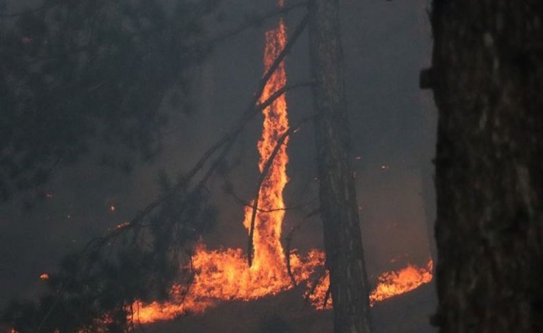 Türkiye yanıyor! Yangınlarda 8'inci gün