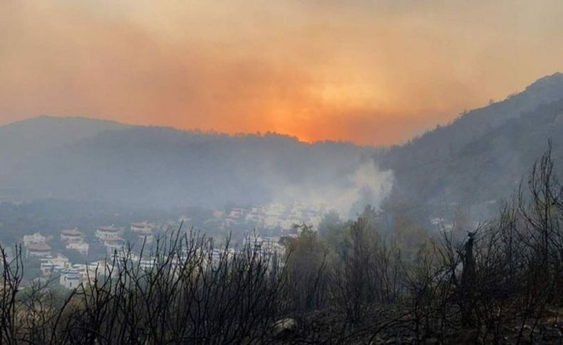 Yangınlarda 14'üncü gün! Milas ve Köyceğiz yanıyor