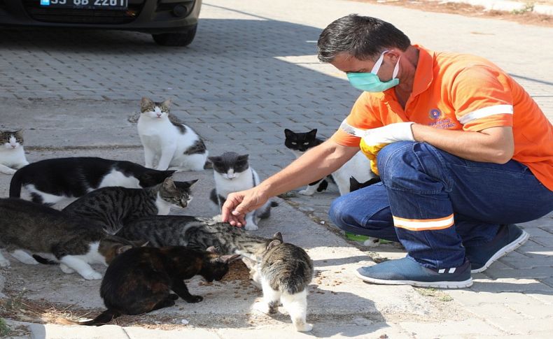 Gaziemir'de can dostların yaşam hakkı hatırlatması