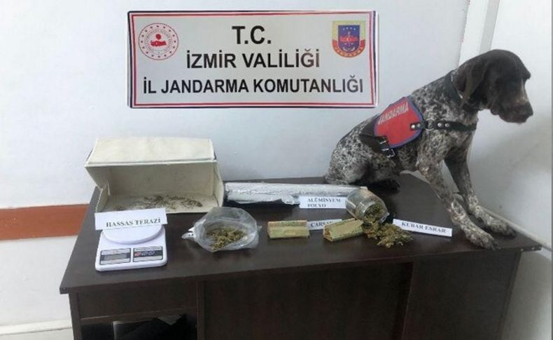 Jandarmadan uyuşturucu tacirlerine darbe