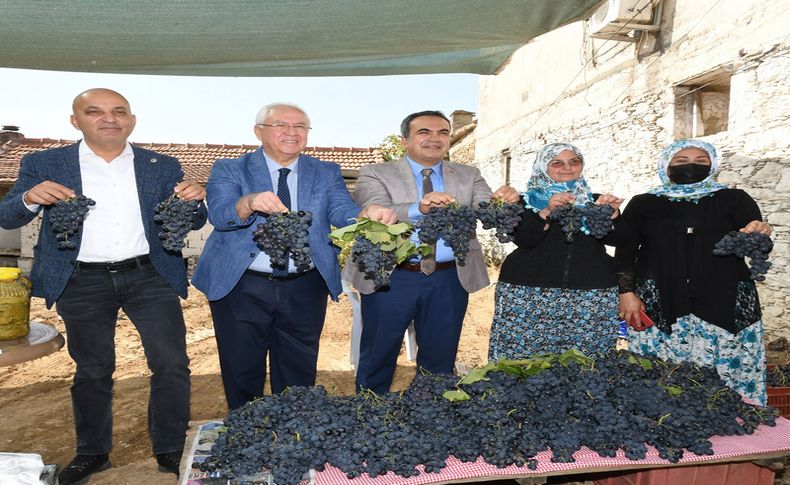 Kavacık'ta özlenen buluşma! Üzüm Festivali renkli etkinliklerle başladı