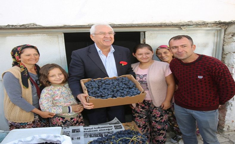 Kavacık Üzüm Festivali gün sayıyor