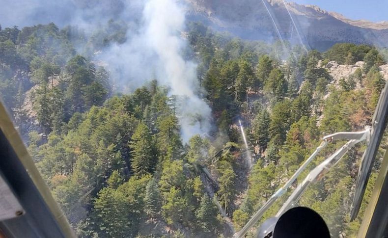 Manavgat'ta korkutan orman yangını!
