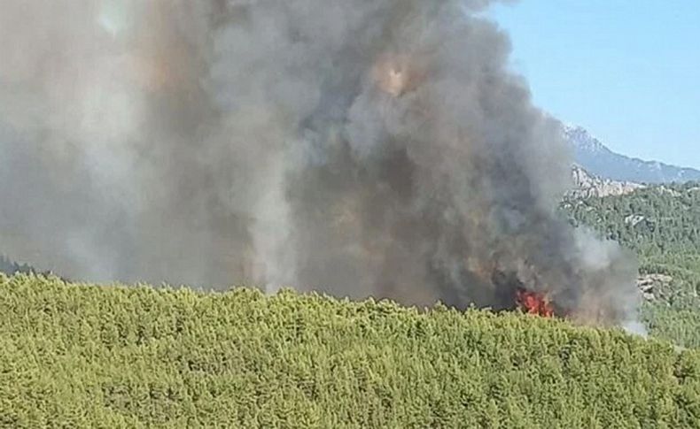 Antalya'da korkutan orman yangını