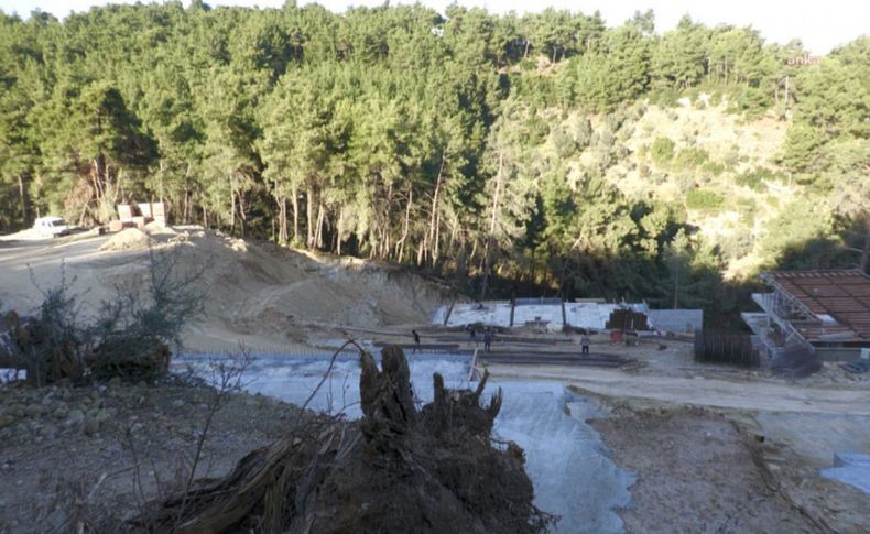Gaziemir'deki orman talanına belediye cezayı kesti