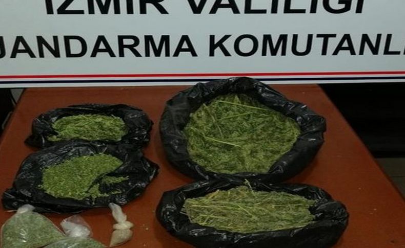 İzmir'de jandarmadan 6 ilçede uyuşturucu operasyonu