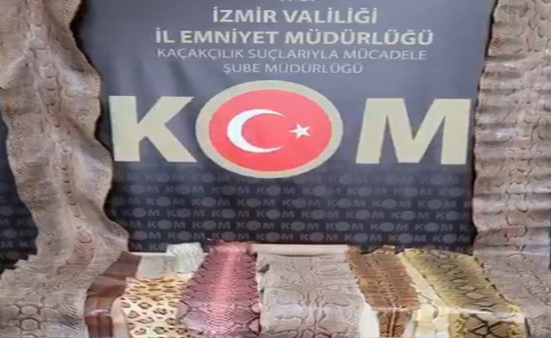 İzmir'de kaçak yollarla ülkeye sokulan yılan derileri ele geçirildi