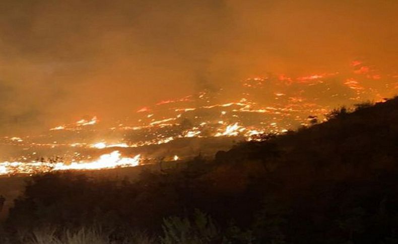 Muğla’da gece başlayan orman yangını kontrol altına alındı