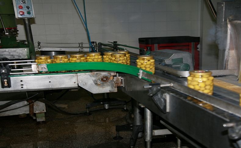 Sofralık zeytin ihracatı 150 milyon doları aştı