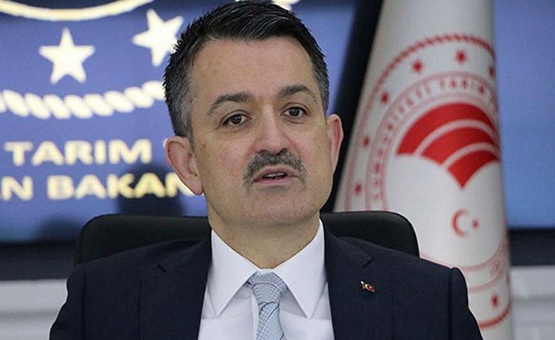 Bakan Pakdemirli açıkladı: İzmir'de 12 milyon 775 bin fidan dikilecek
