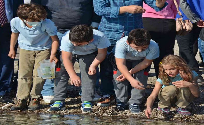 Dikili'de denize 15 bin adet yavru balık bırakıldı