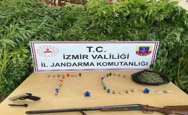 İzmir'de uyuşturucu operasyonları: 12 tutuklama