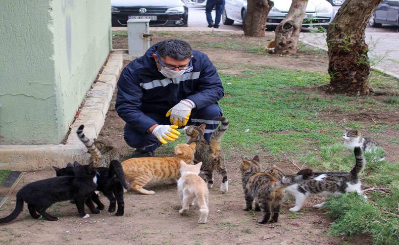 Karşıyaka’da bu yıl 5 bin can dost kısırlaştırıldı