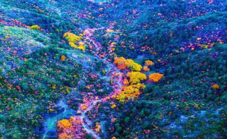 Spil Dağı'ndan sonbahar manzaraları