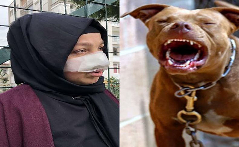 İzmir'de pitbull dehşeti: Spor yaparken saldırdı