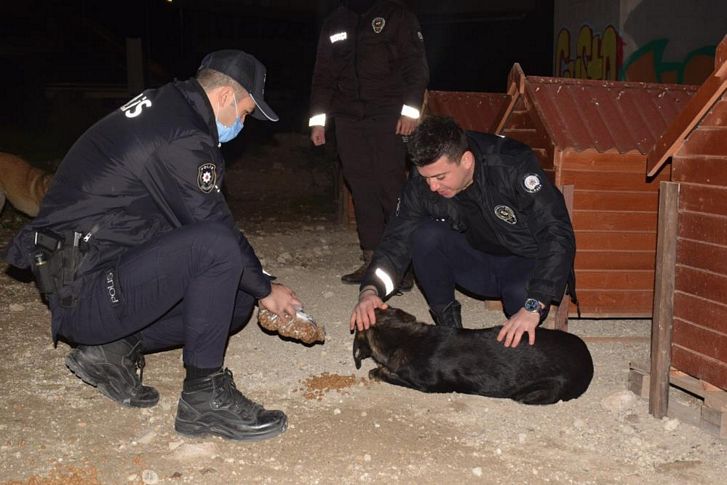 Çeşme polisinden can dostlara mama