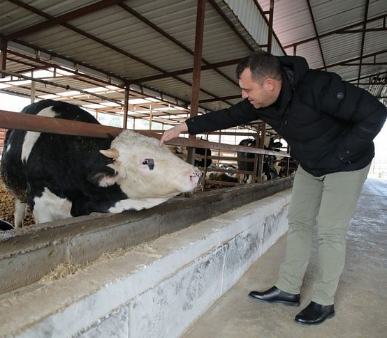 Seferihisar'da üreticilerin süt krizi çözüldü