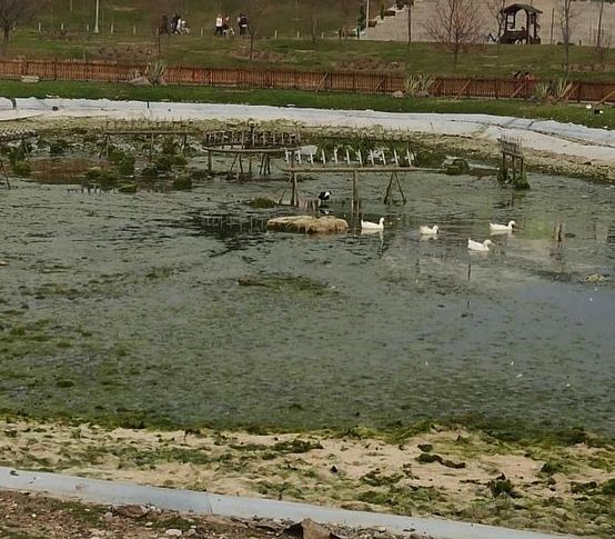 AK Partili Hızal o görüntüleri eleştirdi: Sağlıksız yaşam koşulları