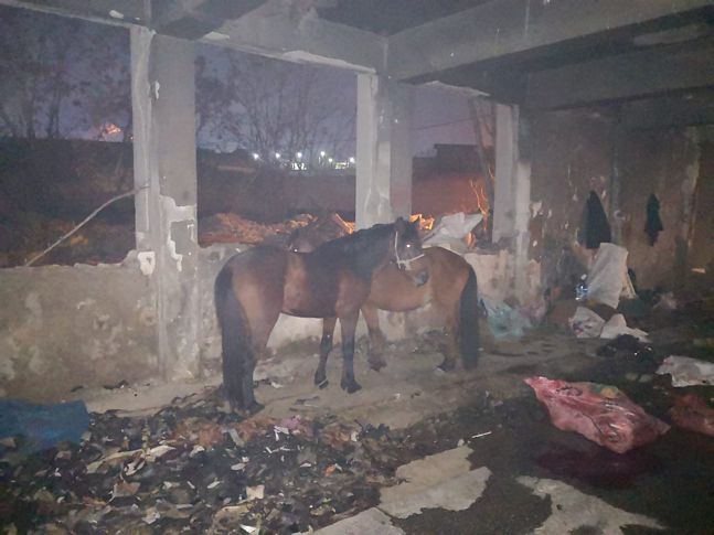 Konak’ta kaçak kesime ortak operasyon