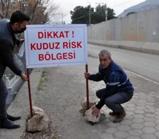 Kuduz vakası mahalleyi karantinaya aldırttı