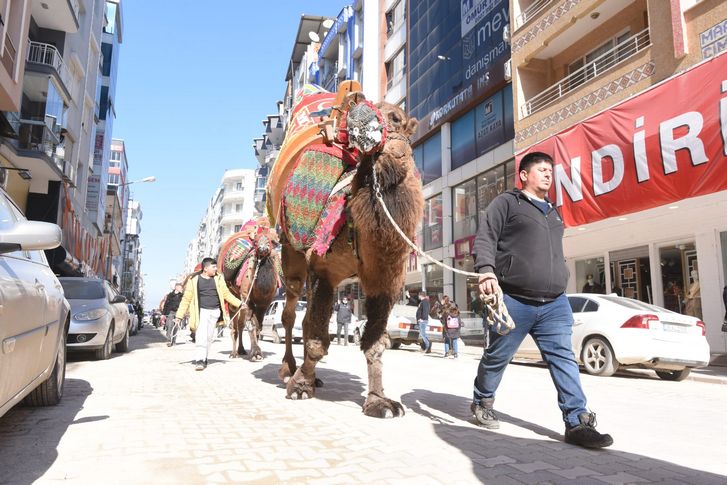 Torbalı’da develer kortej yürüyüşünde boy gösterdi