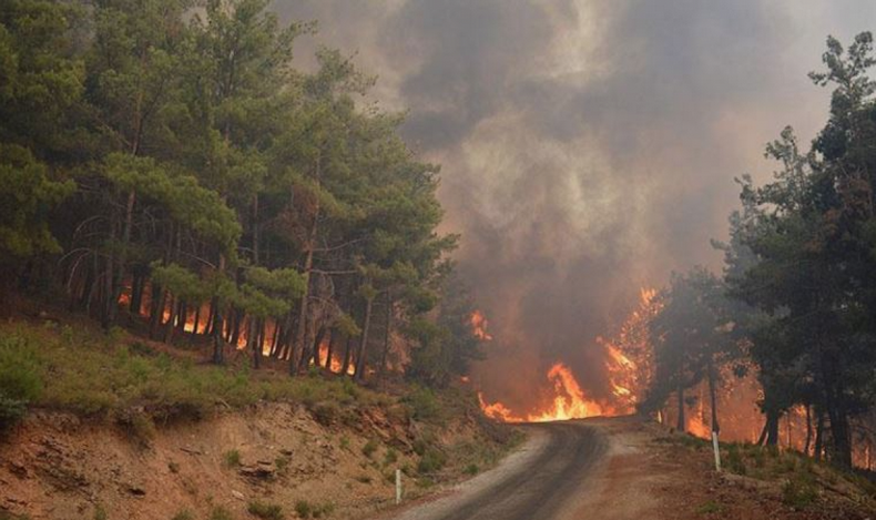 CHP'li Kılıç Bakanlığın yangın verilerini yorumladı: İzmir’in onda biri kadar!