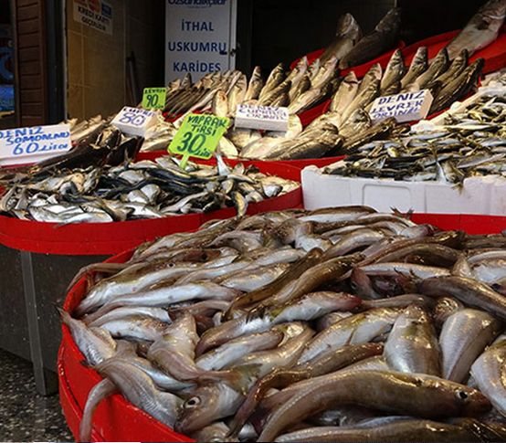 Kar yağışı balık fiyatlarını uçurdu