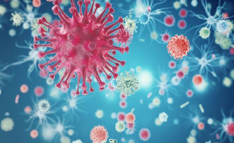 Adenovirüs şüphesi! Gizemli hepatit vakaları artıyor