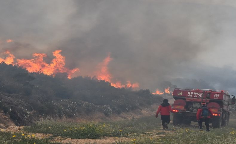Bodrum'da orman yangını... Sabotaj mı?