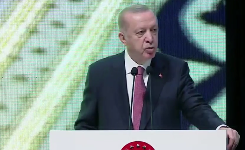 Erdoğan, Avrupa'daki ırkçı partilerin yükselişine dikkat çekti