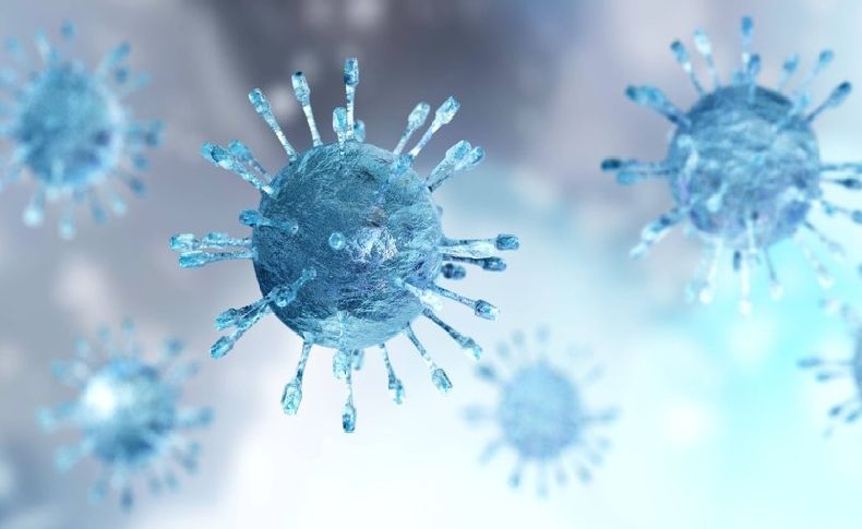 Gizemli hepatit virüsü Covid-19 gibi yayılır mı? Prof. Dr. Ceyhan açıkladı