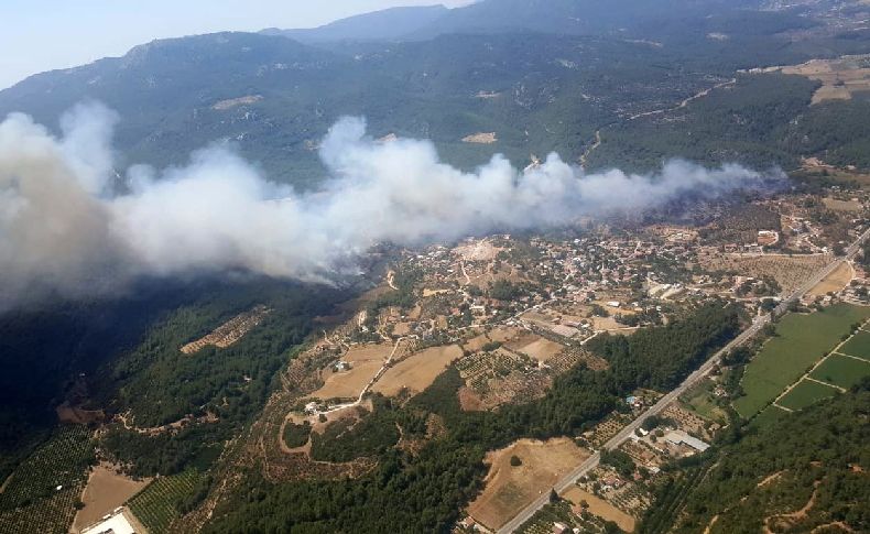 İzmir'de 430 hektarlık orman yangını sanığına ne ceza verildi?