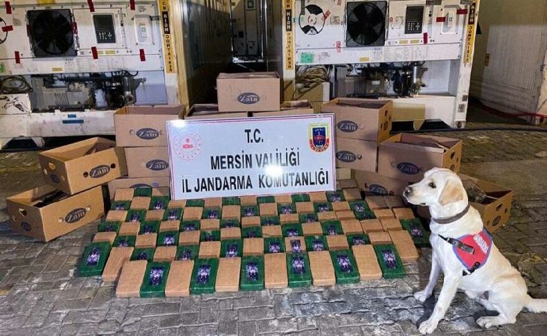 Mersin Limanı’nda 258 kilo kokain ele geçirildi
