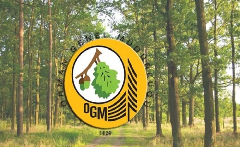 Orman Genel Müdürlüğü 5 bin geçici işçi alacak