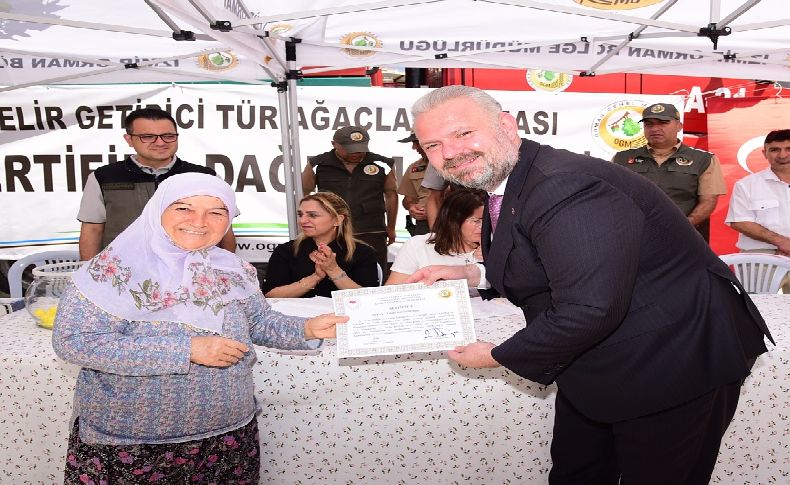 İğnedere'de 34 çiftçinin 'zeytin ağacı' sevinci