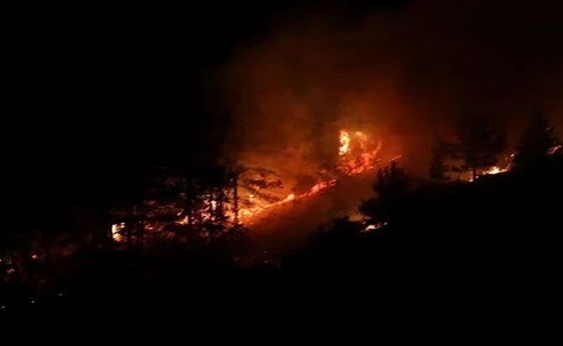 Alanya’da orman yangını: 3 dekar alan zarar gördü