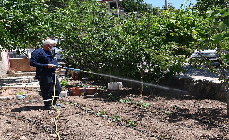 Bornova’da üreticiye tam destek