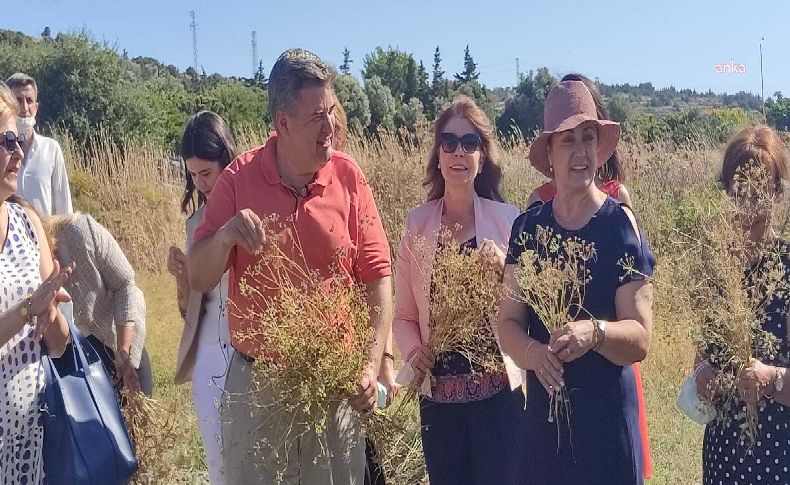 Çeşme'de tarım devrimi