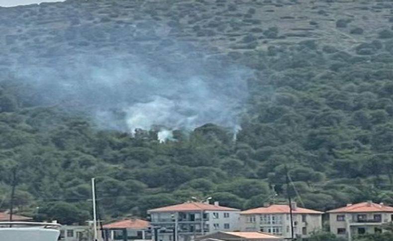 Çeşme'de yangın paniği