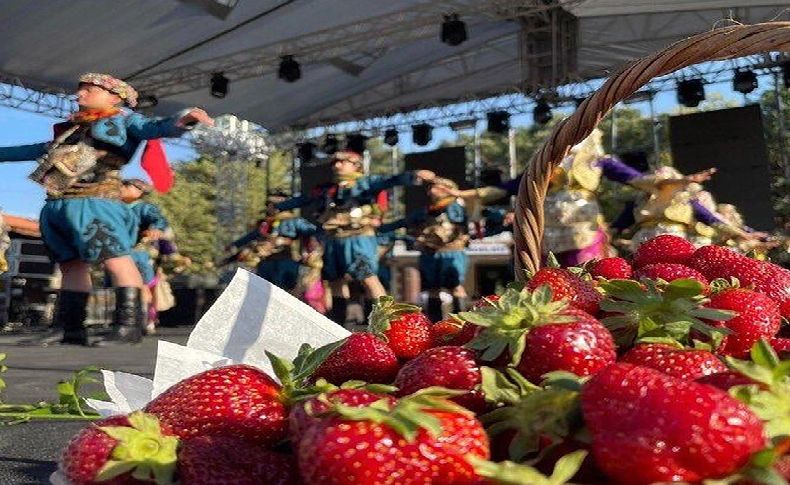 Çilek Festivali kapılarını açtı