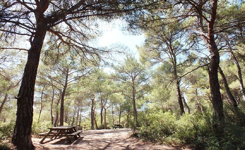 İzmir'de 26 ormanlık alana girişler yasaklanıyor