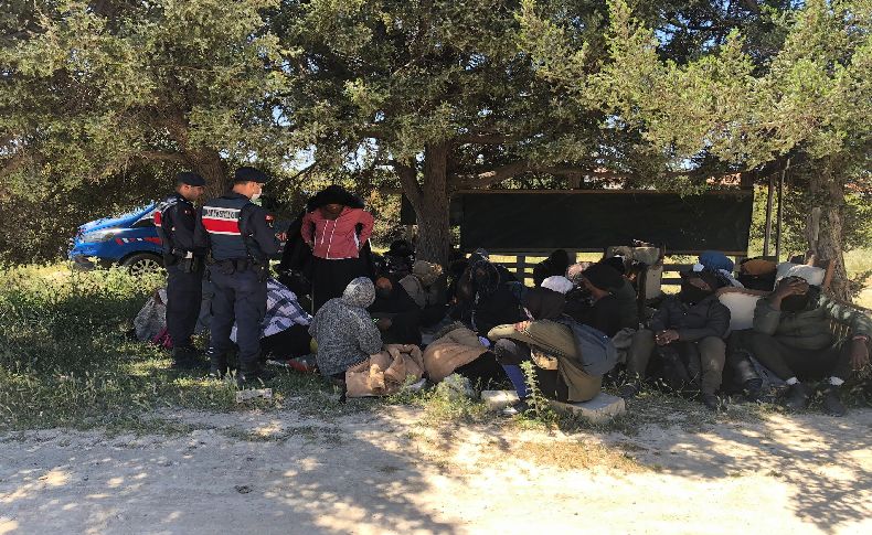 İzmir'de 63 göçmen yakalandı