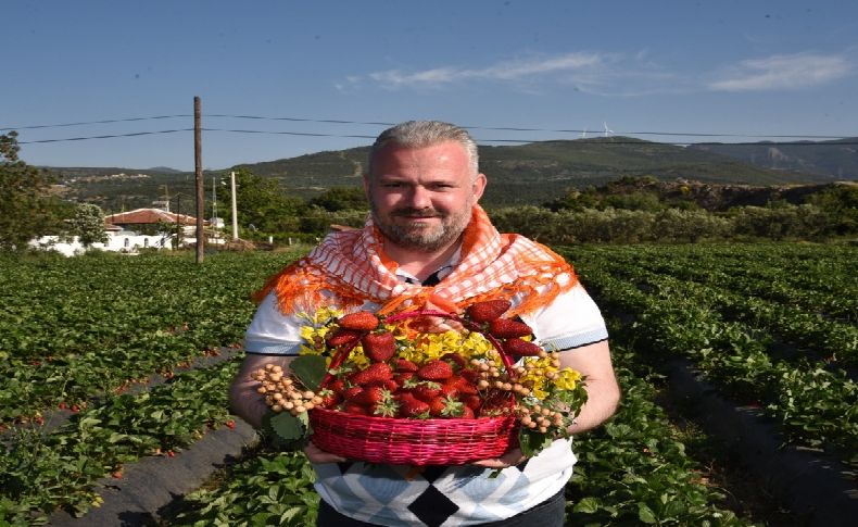 Menemen'de Çilek Festivali heyecanı